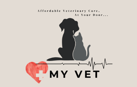 My Vet